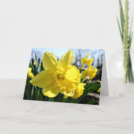 Cartão dos Daffodils, vazio para dentro