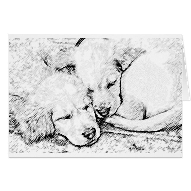 Cartão dos filhotes de cachorro (Frente Horizontal)