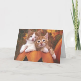 Cartão dos gatinhos do Dia das Bruxas
