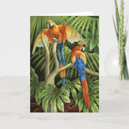 Cartão dos Macaws