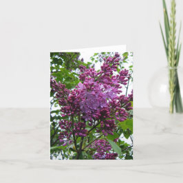 Cartão Dos "moi do chez Lilacs "
