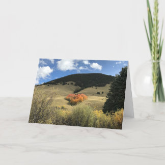 Cartão dos namorados com os álamos tremedores