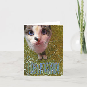 Cartão dos parabéns do russo (no russo)