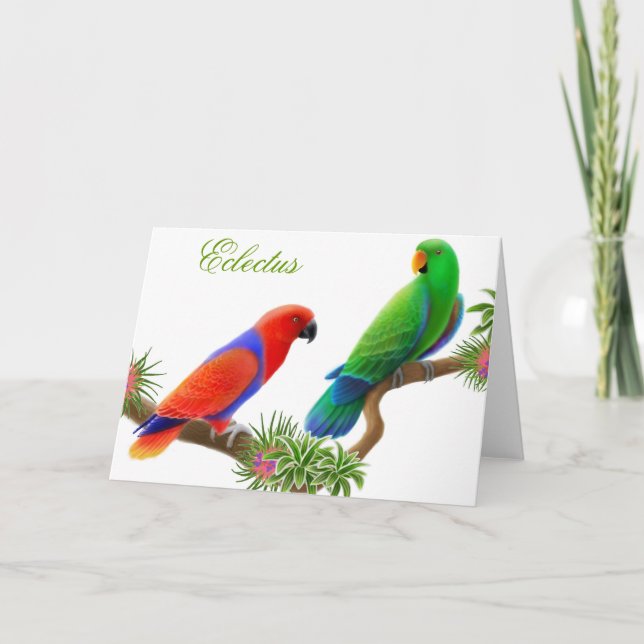 Cartão dos pássaros de Eclectus (Frente)