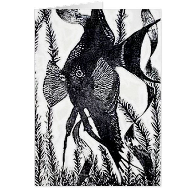Cartão dos peixes do anjo (Frente)
