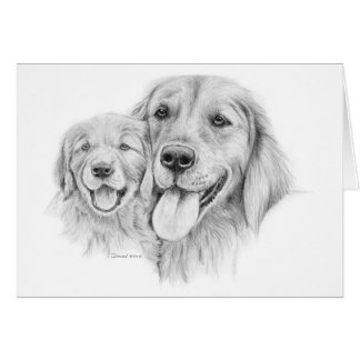 Cartão dos Retrievers dourados