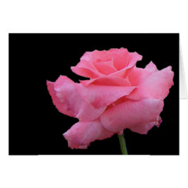 Cartão dos rosas e dos chocolates