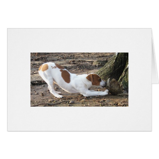 Cartão Dottie no jogo (Frente Horizontal)