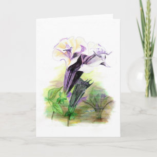 Cartão Double Lavender Angel Trumpet Greeting Card