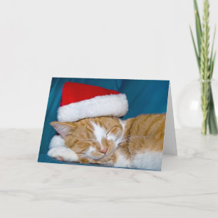 Cartão Dourada entrega de Natal