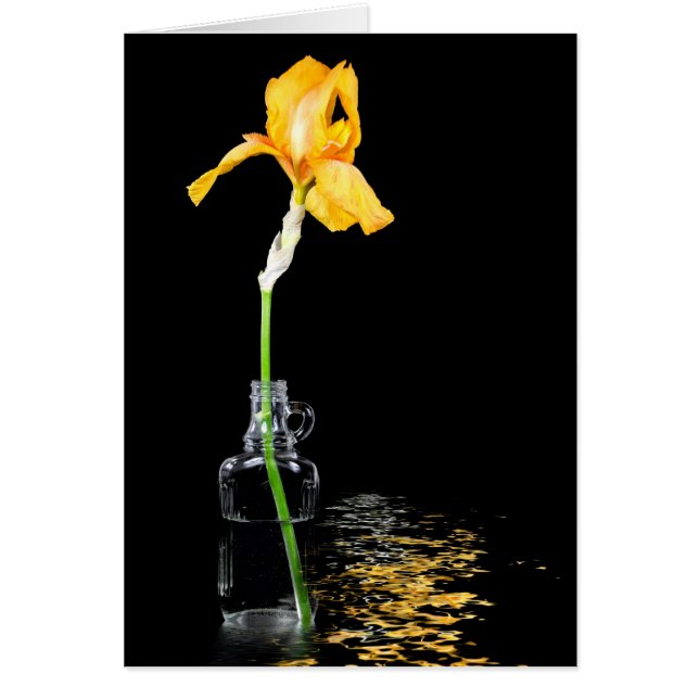 Cartão Dourada íris no frasco de colheita (Frente)