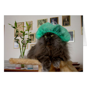 Cartão Doutor Romeo