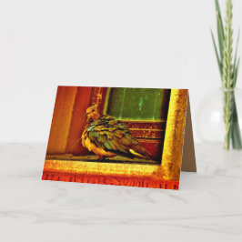 Cartão Dove de penas