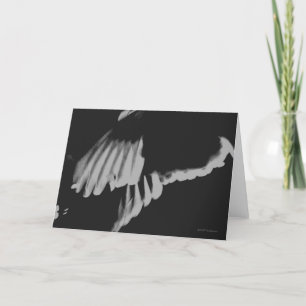 Cartão Dove Wings Greeting Card by Mark E... - Customized