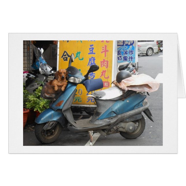 Cartão Doxie no cesto (Frente Horizontal)