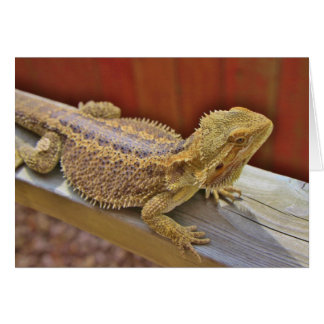 Cartão Dragão 2 de pouso