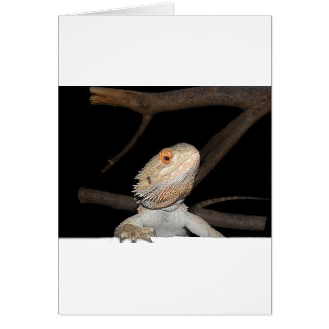 Cartão Dragão com barba 2 (Frente)