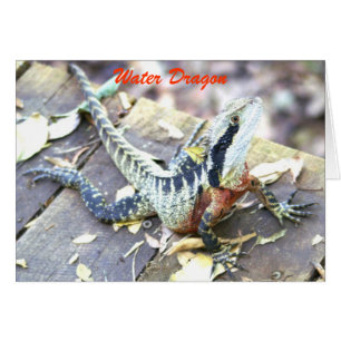 Cartão Dragão de água