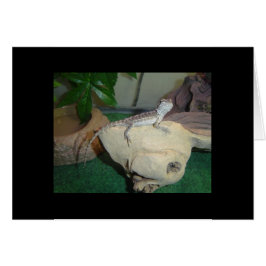 Cartão Dragão De Bebê