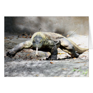 Cartão Dragão de Komodo (0751)