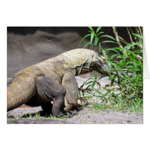 Cartão Dragão de Komodo (0767)