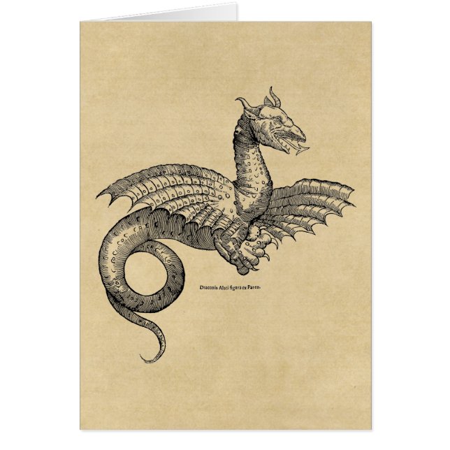 Cartão Dragão voado (Frente)