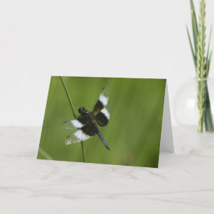 Cartão Dragonfly