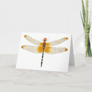 Cartão Dragonfly Aquecida de Setagem Verificada