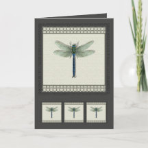Dragonfly Azul Elegante
