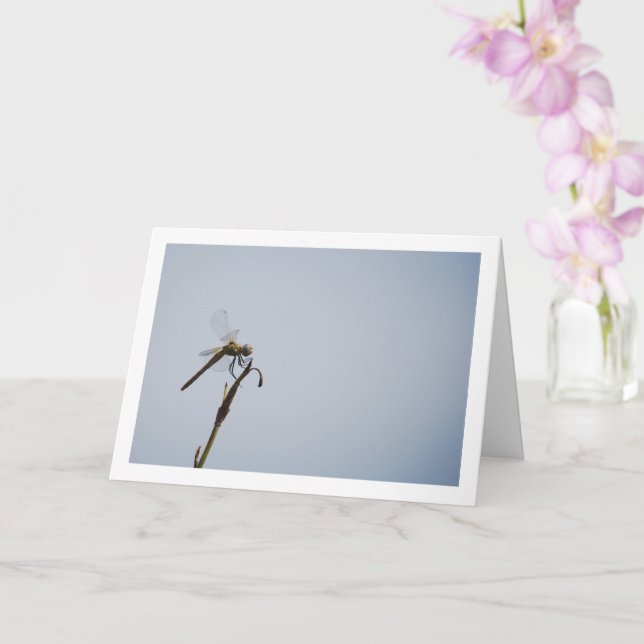 Cartão Dragonfly com Cane Stick (Orquídea)