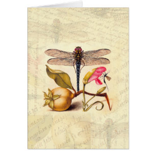 Cartão Dragonfly, Pear, Cravo e Insetos
