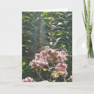 Cartão dragonfly sympathy card