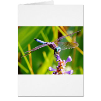 Cartão Dragonfly Teal & Purple