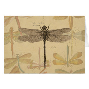 Cartão Dragonfly Vintage Natureza Clássica Antica
