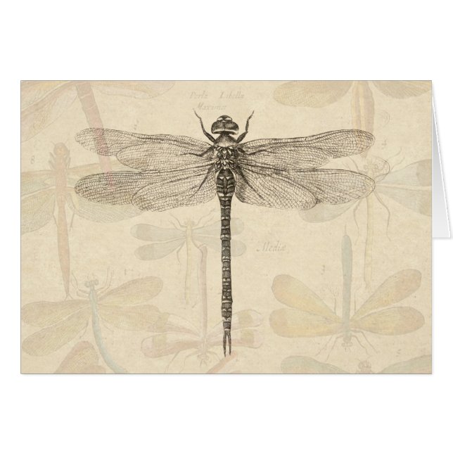 Cartão Dragonfly Vintage Natureza Clássica Antica (Frente Horizontal)