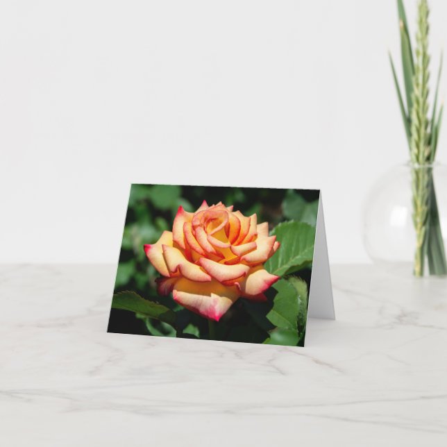 Cartão Dream come True Rosa (Frente)