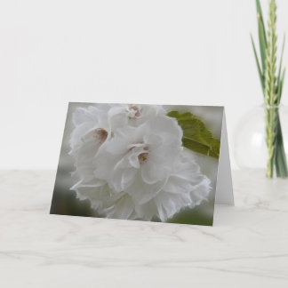 Cartão Dreamy Cherry Blossoms AH2010