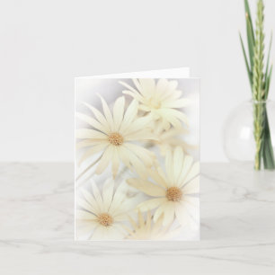 Cartão "Dreamy Daises 2"