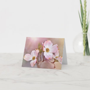 Cartão Dreamy Dogwood Blossoms All Occasion Note Cards