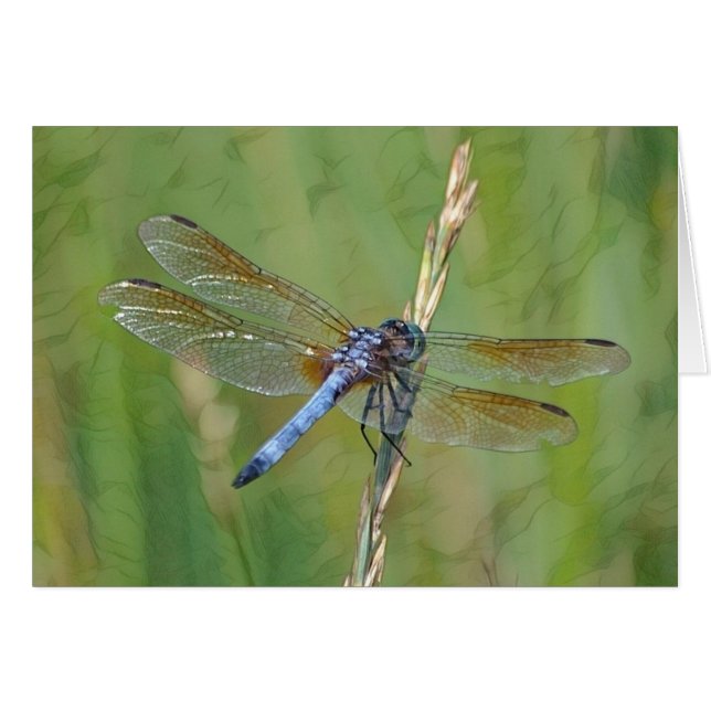 Cartão Dreamy Dragonfly (Frente horizontal)