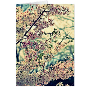 Cartão Dreamy Explosion (Dentro de Vazio)