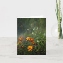 Dreamy marigold fine art photo