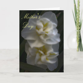 Cartão Dreamy Narcissus Daffodils Mãe Day