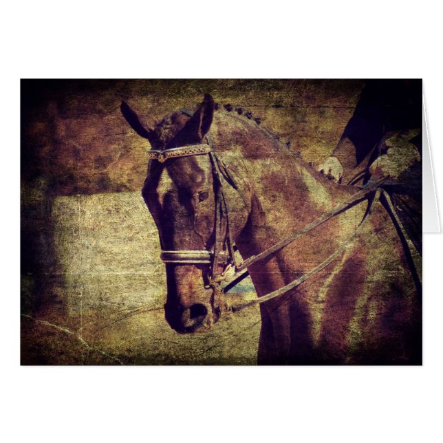 Cartão Dressagem (Frente Horizontal)