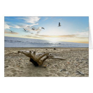 Cartão Driftwood - Placa de arte de 5" x 7"