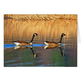 Cartão Driver do assento traseiro