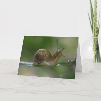 Cartão Droga! Atrasado novamente.