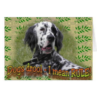 Cartão drool ou REGRA