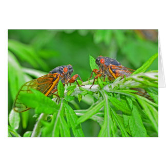 Cartão DSC_3480ps.jpg