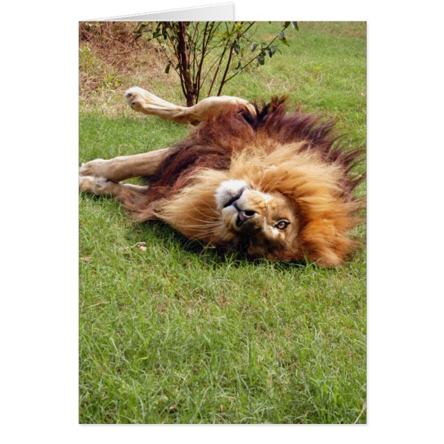 CARTÃO DSC_3914 (Frente)